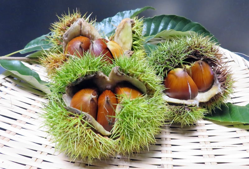 今からがダイエットを加速させる